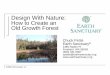 Design With Nature: How to Create an Old Growth ForestDesign With Nature: How to Create an Old Growth Forest ... including wetlands, streams, vegetation, fish and wildlife,and the