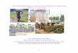 The relationship between Urban Forestry and Poverty Alleviation … · 2008-01-28 · The relationship between Urban Forestry and Poverty Alleviation -Dhaka as a case study By : 