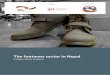 The footwear sector in Nepal Sector in... · collection and analysis, preparation of draft report, validation workshop and final reporting. Background With increasing choices, growing