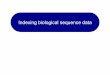 Indexing biological sequence data - Institut Gaspard Mongekoutcher/lectures/lecture3.pdf · Indexing sequence data ! Large sequence data should be stored into data structures (indexes)