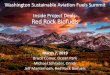 Washington Sustainable Aviation Fuels Summit Inside Project … · Washington Sustainable Aviation Fuels Summit Inside Project Deals: Red Rock Biofuels March 7, 2019. Bruce Comer,