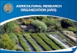 AGRICULTURAL RESEARCH ORGANIZATION (ARO) · 2018-01-10 · Global warming Solutions to cope with rising temperatures in forests Broadening the use of colored netting Acclimating varieties