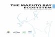 THE MAPUTO BAY ECOSYSTEM - Núcleo de Modelação ... · XX The Maputo Bay Ecosystem Chapter 14. THE MAGUMBA FISHERY OF MAPUTO BAY Paula Santana Afonso and Zainabo Masquine Chapter