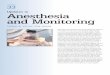 Updates in Anesthesia and Monitoring - Avian …avianmedicine.net/.../uploads/2013/08/33_anesthesia.pdf33 Anesthesia and Monitoring THOMAS M. EDLING, DVM, MSpVM CHAPTER Updates in
