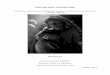 Critical Context 4th draft - lisaderand.myblog.arts.ac.uk · Photojournalist Sebastiao Salgado’s work alters the documentary photography tradition of straight truthful and objective