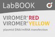 LabBOOK - Viromer Transfection · 2017-07-27 · Technology Viromer ® ®RED and Viromer ®YELLOW are polymer-based transfection reagents featuring a viral mechanism of membrane fusion