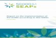 Report on the implementation of the EnMS according to ISO ... · 5 Twitter: @500001SEAPs Implementation of the EnMS according to ISO 50001 Introduction The introduction to ISO 50001