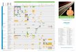 Autoantibody Map Poster 070610 - Hycor Biomedical · Abbrevations Autoantibodies Guidelines for diagnostic evaluation of autoimmune diseases ANA ds-DNA ss-DNA Histone Nucleosome ENA