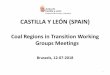 CASTILLA Y LEÓN (SPAIN) · CIUDAD DE LA ENERGÍA (CIUDEN) installations. 2. 1. ECONOMIC DYNAMIZATION PLAN ... • Agreement in Castilla y León Regional Parliament – Law 7/2015: