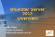 BlueStar Server Overview - Cedar · BlueStar Messaging Hub BlueStar Server BPM: None Front Channel Host Systems VSE APPLICATION Tandem Multi-Protocols Business Transactions wrapped