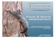Flora & fauna assessment · i Executive Summary . Travers bushfire & ecology (TBE) has been engaged to undertake a flora and fauna assessment for future housing facilities for inmates