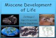 Miocene Development of Life - University of Iceland Geology pdf... · and are thus restricted to life in the water. Dusisirenwas common in the shallow coastal waters of late Miocene