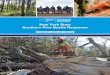 New York State Southern Pine Beetle Response, 2018 Annual ... · information was used to guide DLF management activities and provide information to the public regarding the impacts