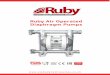 Ruby Air Operated Diaphragm Pumps · Ruby Air Operated Diaphragm pumps 2 RUBY Air operated diaphragm pneumatic pumps are manufactured fulÜlling FDA requirements.All materials in