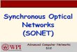 Synchronous Optical Networks (SONET)rek/Nets2/D12/SONET_D12.pdf · 2012-04-24 · Telephone Networks {Brief History} Digital carrier systems – The hierarchy of digital signals that