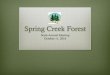 Spring Creek Forest...Deeds TRANSERVE MANAGEMENT PROFESSIONAL HOA PROPERTY MANAGEMENT Transervehoa@gmail.com • 832-630-7061 The goal is to maintain & grow your property value and