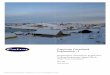 Capricorn Greenland Exploration - 1/media/Nanoq/Files/Hearings/2010/Offentlig... · The municipality of Qeqqata is also considered in this report, in terms of impacts to Sisimiut,