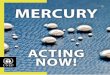 ACTING NOW! - UN Environmentwedocs.unep.org/bitstream/handle/20.500.11822/8356/-Mercury_ acting now... · ACTING NOW! The UNEP Global Mercury Partnership How the UNEP Global Mercury