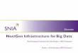NextGen Infrastructure for Big Data - SNIA...NextGen Infrastructure for Big Data . Anil Vasudeva, President & Chief Analyst, IMEX Research . Author : Anil Vasudeva, IMEX Research 