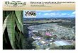 Barung Landcare Association Quarterly Newsletter · Barung Landcare Association Quarterly Newsletter Autumn 2017 In this Issue Presidents Report p2 Thank you Cali p3 Wood Expo 2017