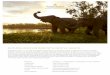 NATURAL ENCOUNTERS WITH GENTLE GIANTS....NATURAL ENCOUNTERS WITH GENTLE GIANTS. Anantara invites you to walk with giants and enter the enchanting world of elephants at Asia’s premier