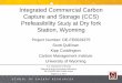 Integrated Commercial Carbon Capture and Storage (CCS ... · Integrated Commercial Carbon Capture and Storage (CCS) Prefeasibility Study at Dry fork Station, Wyoming Project Number: