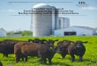 ID-202: Feedlot Design and Management for Backgrounding ...production. Proper selection of facilities and management systems and imple-mentation of BMPs can help producers achieve