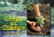 Seeds of Change - Soka Gakkai International...dignity, bodily health, and spiritual well-being, with special attention to the rights of indigenous peoples and minorities. Strengthen