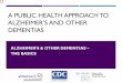 A Public Health Approach to Alzheimer’s and Other …...ALZHEIMER’S & OTHER DEMENTIAS – THE BASICS A PUBLC I HEALTH APPROACH TO ALZHEIMER’S AND OTHER DEMENTIAS DISCLAIMERS\爀吀栀椀猀