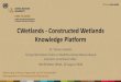 CWetlands - Constructed Wetlands Knowledge Platform · Test & refine. Number of publications since 1990 Vaitheswari Selvam (2018) An analysis of constructed wetlands treating textile