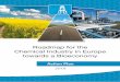 Roadmap for the Chemical Industry in Europe …...5 Introduction The RoadToBio project is funded by the EU under the Hori-zon 2020 research and innovation programme. Its aim is to