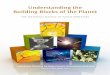 Understanding the Building Blocks of the Planet · 2019-11-26 · Building Blocks of the Planet The MaTerials science of earTh Processes long-range Planning for high-Pressure Geosciences