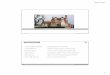 Bicklaying –Brick facades - BME - brick facades 2015.pdf · 2015.11.04. 1 Bicklaying –Brick facades 13.04.2013 István Vidovszky PhD historic overview Vidovszky –BUTE/BME-Faculty
