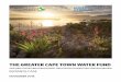 THE GREATER CAPE TOWN WATER FUND · 2020-01-22 · 6 | GREATER CAPE TOWN WATER FUND BUSINESS CASE FOREWORD By Dr. Guy Preston, Deputy Director-General of Environmental Affairs, National