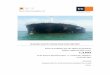 MARINE SAFETY INVESTIGATION REPORT Repository/MSIU Documents... · 2016-07-08 · MARINE SAFETY INVESTIGATION REPORT Maltese registered bulk carrier CAPRI on 09 July 2015 ... single