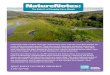 NatureNotes...above, you wouldn’t believe this marsh was once called “the most cadmium polluted site in the world.” This packet discusses how heavy-metal pollution interacts