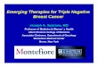 Emerging Therapies for Triple Negative Breast Cancere-syllabus.gotoper.com/_media/_pdf/SOBO2012_20_Sparano... · 2012-11-02 · Emerging Therapies for Triple Negative Breast Cancer