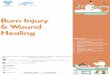 Healing & Wound Burn Injuryksumsc.com/download_center/3rd/Teamwork/2-Surgery/1st... · 2019-09-23 · D A Y 1 D A Y 2 D A Y 3 D A Y 4 D A Y 5 Wounds, Scars & Wound Healing Wound:
