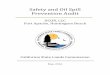 Safety and Oil Spill Prevention AuditSafety and Oil Spill Prevention Audit DCOR, LLC Fort Apache, Huntington Beach California State Lands Commission May, 20162.2.2 Stairs, Walkways,