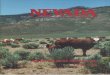 1-0 - USDA · ! 1-0 ~--,), i, PERSHING (27), MINERAL ~ (21) "/ '\ / '\ / \), ESMERALDA i (9) ,,,, Picture taken of Wendell Neff's cattle on Neff Ranching Company's ranch north of