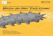 Interactive Governance Analysis of the Bêche-de-Mer ‘Fish ... · Shashim Sharma, Pongie Kichawen, Simon Foale, Richard Hamilton Bêche-de-Mer ‘Fish Chain’ Interactive Governance