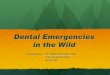 Dental Emergencies in the Wild - Covenant Health · Dental Emergencies in the Wild Presented by: Dr. Natali Schindler, DDS bite Family Dentistry Banff, AB. Common Dental ... sterile