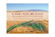 Cheatgrass - uwyo.edu · » Many tactics exist for reducing cheatgrass abundance on pasture and rangelands. Chapter 4 discusses methods for reducing cheatgrass populations, ranging