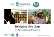 Bridging the Gap - AgriProFocus · Sahara Africa, South East Asia and the Middle East and North Africa region. We excel in putting together teams of highly capable finance and banking