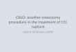 CBLO: another osteotomy procedure in the treatment of CCL ... Jarmo.pdf · Advantages of CBLO • More bone stock proximally, helpful especially in small breed dogs • Mechanical