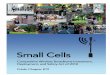 “Competitive Wireless Broadband Investment, Deployment, · A small cell may be deployed in any one of three methods. First, the small cell may be physically attached, or collocated,