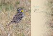 2017 Annual Report - rowe.audubon.org · Nebraska with great success. Through these efforts thousands of children have learned about tallgrass prairie, wetlands, the Platte River,