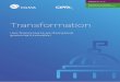 Transformation - Improving government performance...transformation, using case studies to illustrate good practice. Introduction Across the world, wide-ranging transformation initiatives