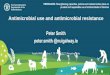Antimicrobial use and antimicrobial resistance · Antimicrobial use and antimicrobial resistance Peter Smith peter.smith @nuigalway.ie Aquatic AMR Workshop 1: 10-11 April 2017, Mangalore,