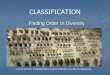 CLASSIFICATION - Allen Independent School District 7/Classification Notes...Finding Order In Diversity Linnaean Taxonomy. In Wikipedia [Web]. ... At what classification level does